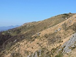 Su questo versante ci sono diversi alpeggi.....